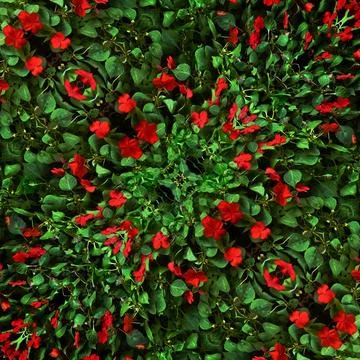  Flowers and Plants Background Pattern Digital collage pattern also useful... Foto stock