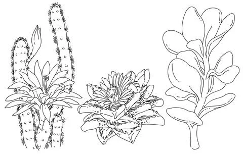 Flowers and plants element 스톡 일러스트
