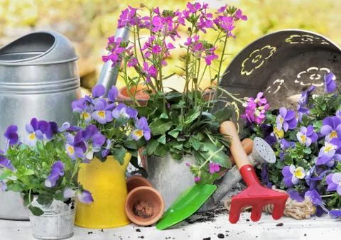 Flowers and tools Stock Photos