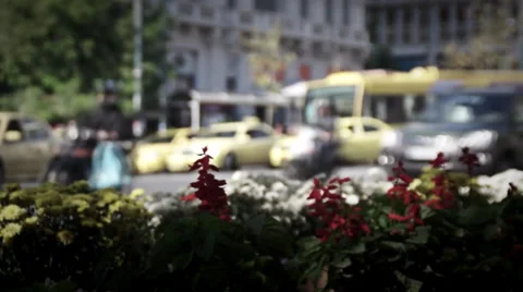 Flowers and traffic 動画素材 32149246
