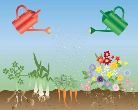 Flowers and vegetables Stock Illustration