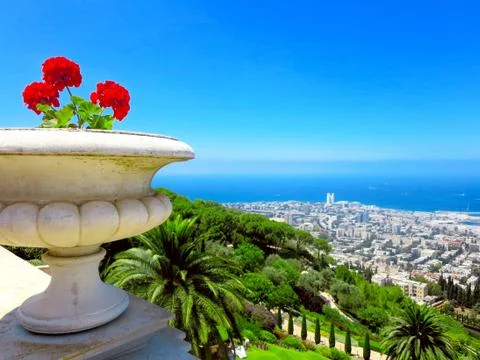 Flowers and a View Stock Photos