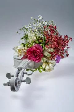 Flowers And Violin Stock Photos