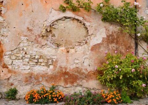 Flowers and a wall Stock Photos
