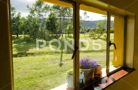 Flowers and windowsill Stock Photos