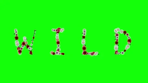 Flowers Animated - Chroma Key Green Screen Footage Stock Footage 337996873