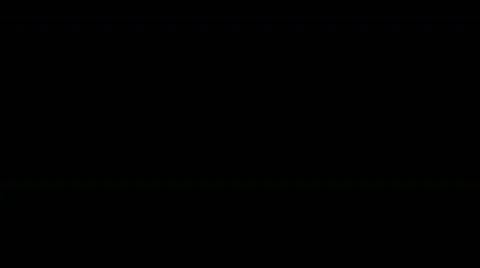 Flowers animation HD Stock Footage 305532