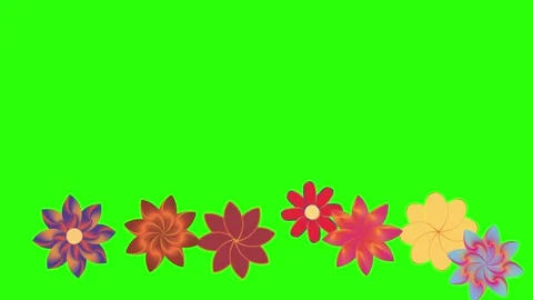 Flowers animation motion on green screen, design elements Stock Footage 329623189