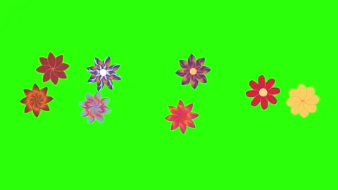 Flowers animation motion on green screen, design elements Stock-Footage 329623191