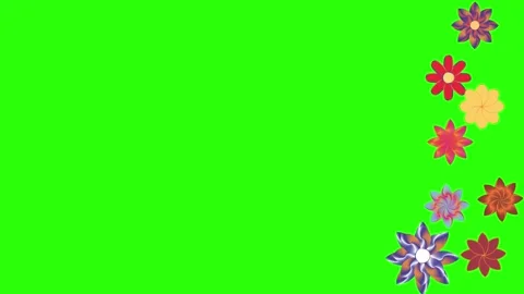 Flowers animation motion on green screen, design elements Stock Footage 329623200