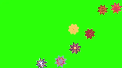 Flowers animation motion on green screen, design elements Stock-Footage 329623202
