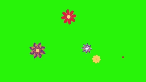 Flowers animation motion on green screen, design elements Stock Footage 329623205