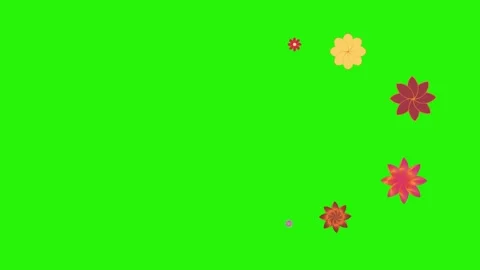 Flowers animation motion on green screen, design elements Stock Footage 329623209