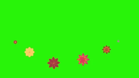 Flowers animation motion on green screen, design elements Video stock 329623210