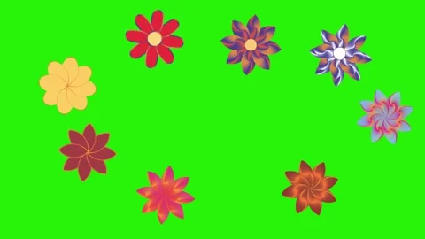 Flowers animation motion on green screen, design elements Stock-Footage 329623211