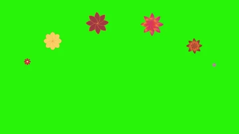 Flowers animation motion on green screen, design elements Stock Footage 329623219