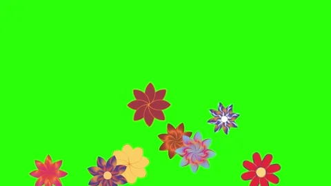 Flowers animation motion on green screen, design elements Stock Footage 329623220