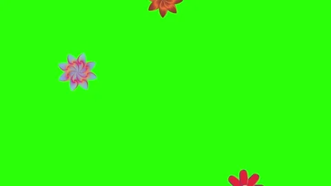 Flowers animation motion on green screen, design elements Stock Footage 329623221