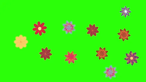 Flowers animation motion on green screen, design elements Stock Footage 329623227