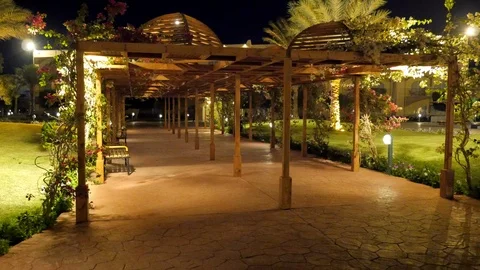 Flowers on the Arch Stock Footage 86871569