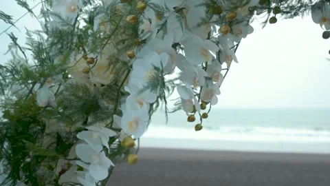 Flowers on the arch Stock Footage 169982244