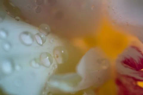Flowers are macro Stock Photos