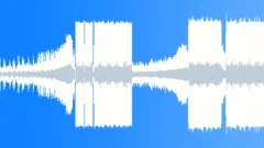 Flowers are NiceStock Music
