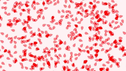 Flowers background animations Stock Footage 279599096