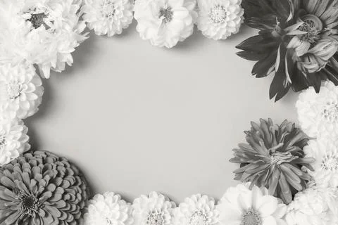Flowers background in colors cloud dancer Stock Photos