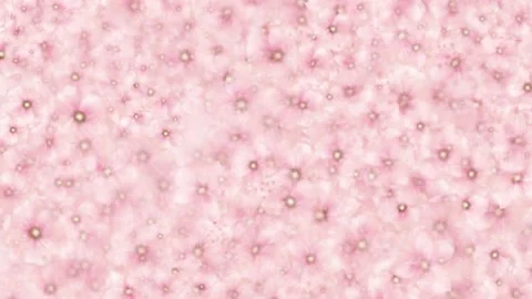 FLOWERS BACKGROUND CUTE 스톡 동영상 160634659