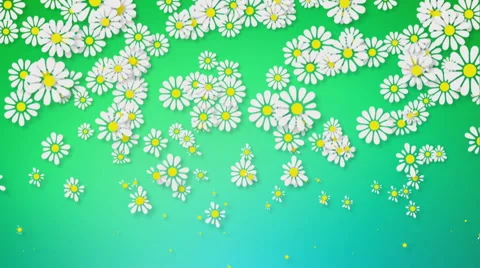 Flowers Background Stock-Footage 65432858