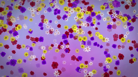 Flowers Background Stock Footage 169687866