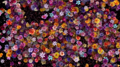 Flowers background 库存影片 258675483