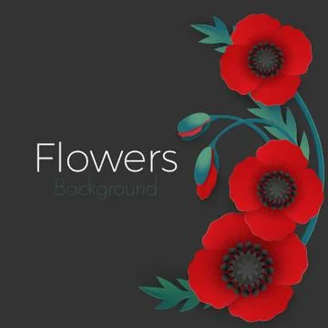 Flowers background with full blown and still blooming red poppies Illustrazione stock