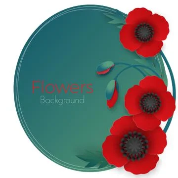 Flowers background with full blown and still blooming red poppies Stock Illustration