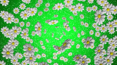 Flowers background. Green Stock-Footage 22699224