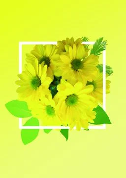 Flowers background Stock Illustration