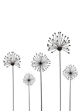 Flowers background isolated on white Stock Illustration