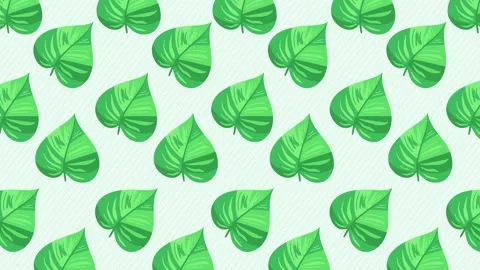 Flowers Background - Leaf 8 Stock Footage 212453290