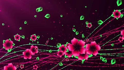 Flowers background. Loop animation Stock Footage 73015497