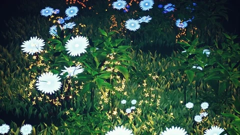 Flowers Background Loop Vídeo Stock 163141334