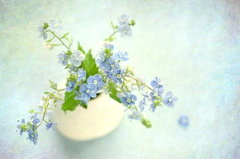 Flowers background Stock Photos