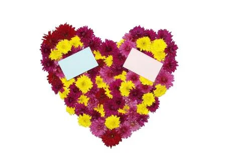 Flowers background Stock Photos