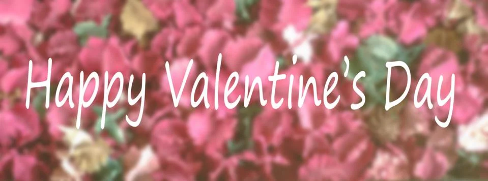 Flowers background Stock Photos