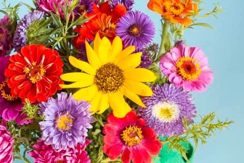Flowers background Stockfoto's