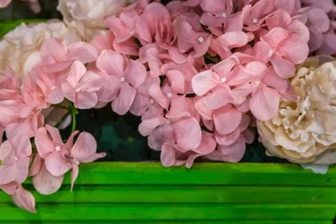 Flowers background Stock Photos