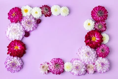Flowers background Stock Photos