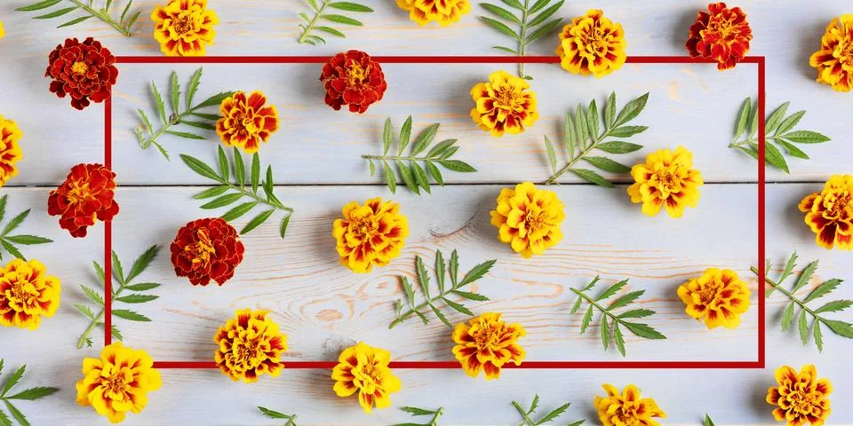 Flowers background Stock Photos