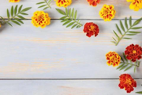 Flowers background Stock Photos