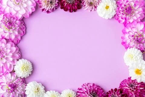 Flowers background Stock Photos